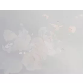 Tecnografica / Bioliving