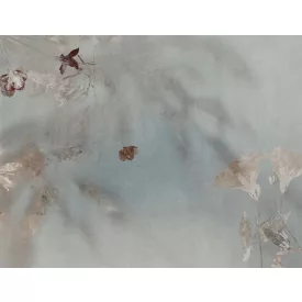 Tecnografica / Bioliving