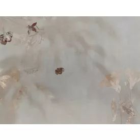 Tecnografica / Bioliving