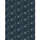 Boras / Graphic World