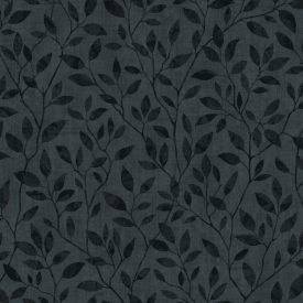 Boras / Graphic World