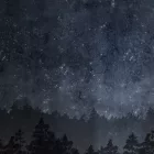 Boras / Graphic World