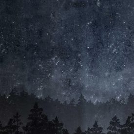 Boras / Graphic World