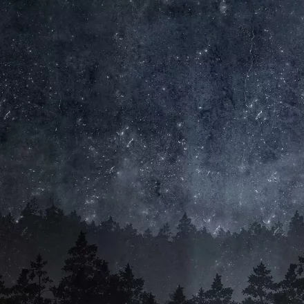 Boras / Graphic World