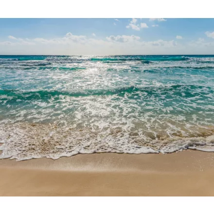 Komar / Into Illusions Edition 1 poszter