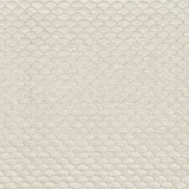 Camengo / Espuma textil