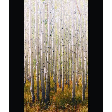 Grandeco / Orom 2 tapéta