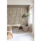 Grandeco / Orom 2 tapéta