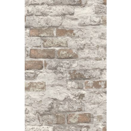 A58101