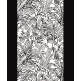 Grandeco / Orom 2 tapéta