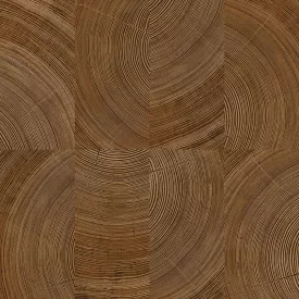 Vavex / 2026 tapéta