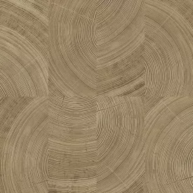 Vavex / 2026 tapéta