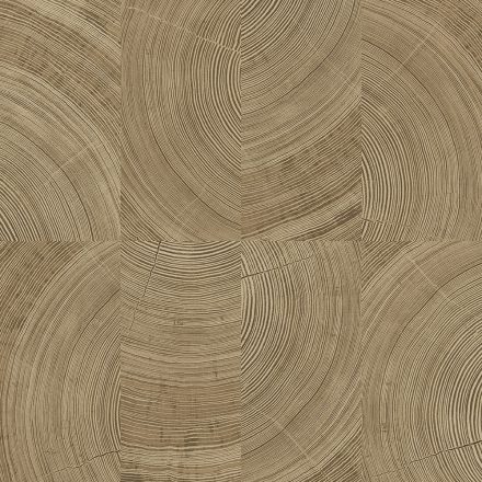 Vavex / 2026 tapéta