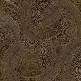 Vavex / 2026 tapéta