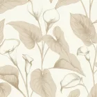 Grandeco / Inia tapéta