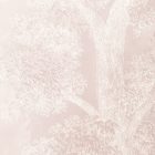 K'moor / Ambience poszter