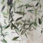 K'moor / Ambience poszter