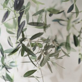 K'moor / Ambience poszter