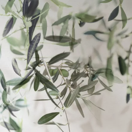 K'moor / Ambience poszter