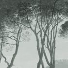 K'moor / Ambience poszter