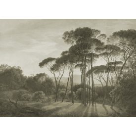 K'moor / Ambience poszter