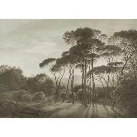 K'moor / Ambience poszter