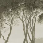 K'moor / Ambience poszter