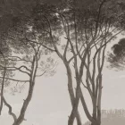 K'moor / Ambience poszter