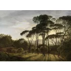 K'moor / Ambience poszter