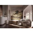 K'moor / Ambience poszter