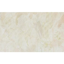 K'moor / Ambience poszter