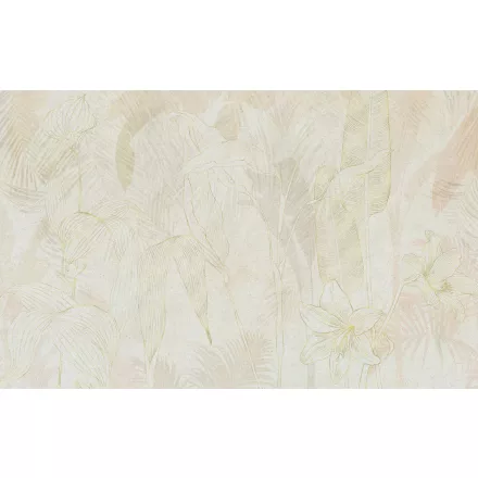 K'moor / Ambience poszter