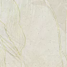 K'moor / Ambience poszter