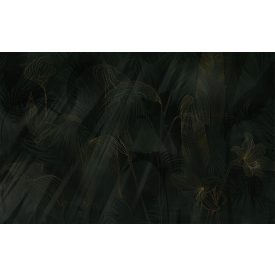 K'moor / Ambience poszter