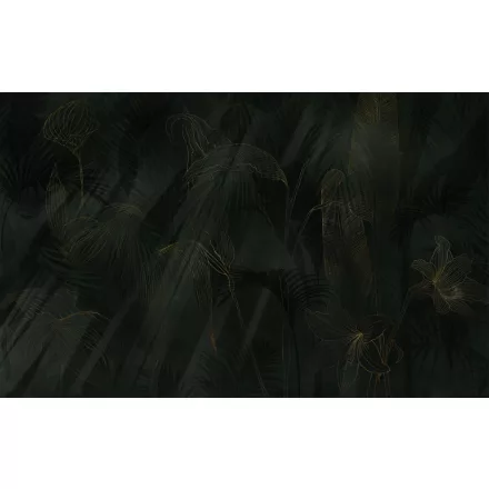 K'moor / Ambience poszter