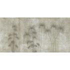 K'moor / Ambience poszter