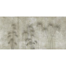 K'moor / Ambience poszter