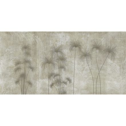 K'moor / Ambience poszter