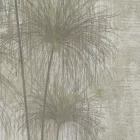 K'moor / Ambience poszter