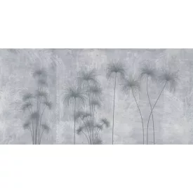 K'moor / Ambience poszter