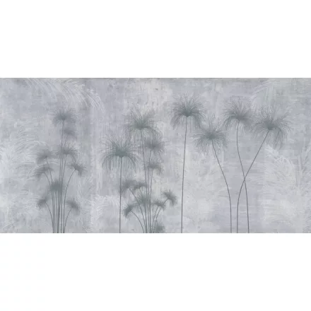 K'moor / Ambience poszter