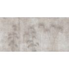 K'moor / Ambience poszter