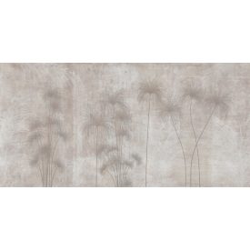 K'moor / Ambience poszter