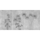 K'moor / Ambience poszter