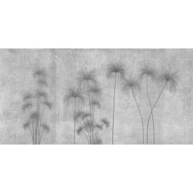 K'moor / Ambience poszter