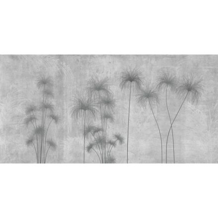 K'moor / Ambience poszter