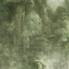 K'moor / Ambience poszter