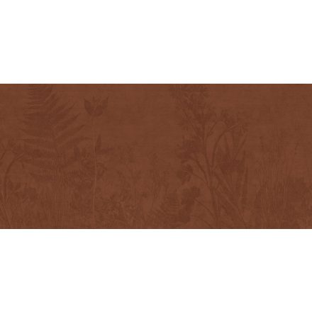 K'moor / Ambience poszter