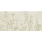 K'moor / Ambience poszter