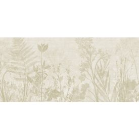 K'moor / Ambience poszter